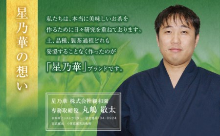 W26-10 八女星野 深蒸し茶(3本詰め)  八女茶 緑茶