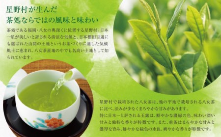 W26-07 八女星野「星乃煌」(玉露・煎茶 各150g) お茶 緑茶