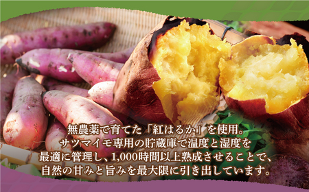 W61-155 皮つき干し芋 800g(200g×4) 博多若杉 訳あり 紅はるか