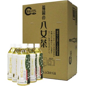 P26-01 福岡の八女茶 煎茶ペットボトル(24本) 【SHINWN】 【fukuchi00】