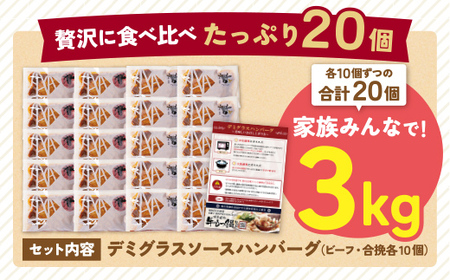 W61-31R09 【7営業日以内発送】 どっちのハンバーグ!?デミグラスソース20個セット(ビーフ・合挽 各10個)