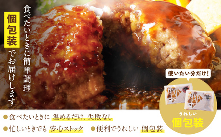 W61-31R09 【7営業日以内発送】 どっちのハンバーグ!?デミグラスソース20個セット(ビーフ・合挽 各10個)