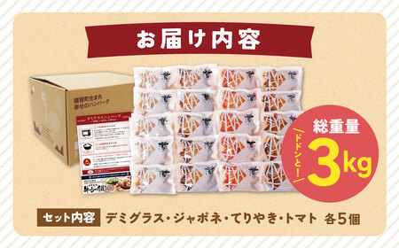 W61-32R09 【7営業日以内発送】 Best4バーグ 20個セット ハンバーグ 4種