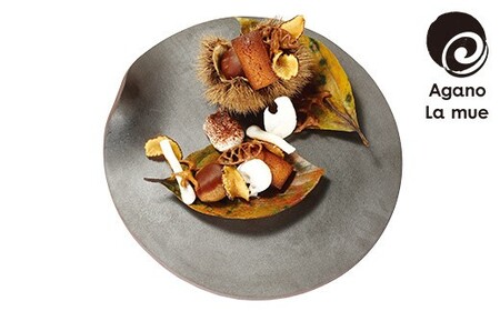 W28-25 アガノラミュ サーブプレート