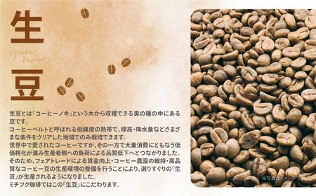 W70-11 ミチフク珈琲(ブレンド)ドリップバッグ 20袋