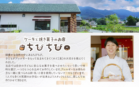 W22-06 米粉と豆乳のカステラロールと米粉焼きドーナツセット