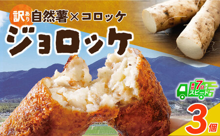 W19-05 じねんじょコロッケ ジョロッケ 3個セット 自然薯  【speedf】