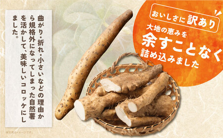 W19-09 じねんじょコロッケ ジョロッケ 10個セット 自然薯  【speedf】