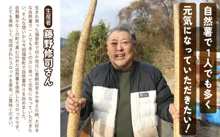 W19-09 じねんじょコロッケ ジョロッケ 10個セット 自然薯  【speedf】