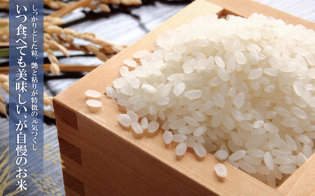 W17-31 令和7年産 無洗米 元気つくし2kg