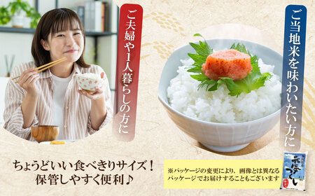 W17-31 令和7年産 無洗米 元気つくし2kg