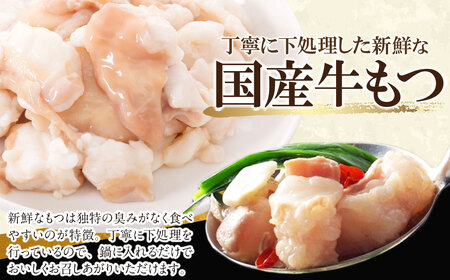 W86-15-01 博多特選もつ鍋（7～8人前)(3パック小分け)（醤油味）