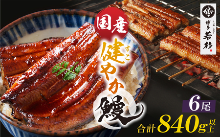 W61-173 健やか鰻 国産うなぎ蒲焼(無頭)6尾(計840g以上)