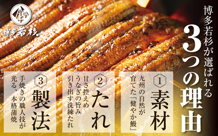 W61-173 健やか鰻 国産うなぎ蒲焼(無頭)6尾(計840g以上)