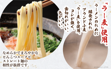 W08-10 一風堂 とんこつラーメン 白丸 8食 ラーメン 豚骨 博多 【YUKP】 【fukuchi00】