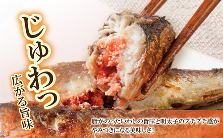 W08-12 いわし明太 9尾 明太子 【YUKP】 【fukuchi00】