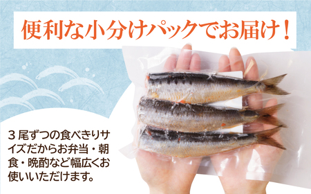 W08-12 いわし明太 9尾 明太子 【YUKP】 【fukuchi00】