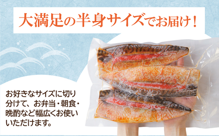 W08-16 さば明太 9尾 さば 明太子 【YUKP】 【fukuchi00】