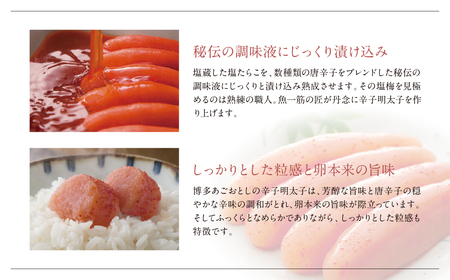 W08-18 あごおとし無着色明太子480g（120g×4）明太子