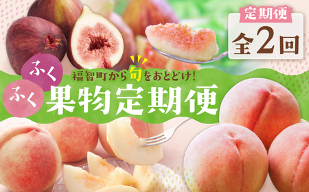 W99-83 【2026年発送】 ★先行予約受付開始★ ふくふく果実定期便(隔月・年2回) 福岡 福智町 定期便 2回 食べ比べ 果物 フルーツ もも 桃 さくひめ いちじく イチジク とよみつひめ 送料無料