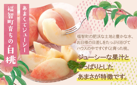 W99-83 【2026年発送】 ★先行予約受付開始★ ふくふく果実定期便(隔月・年2回) 福岡 福智町 定期便 2回 食べ比べ 果物 フルーツ もも 桃 さくひめ いちじく イチジク とよみつひめ 送料無料