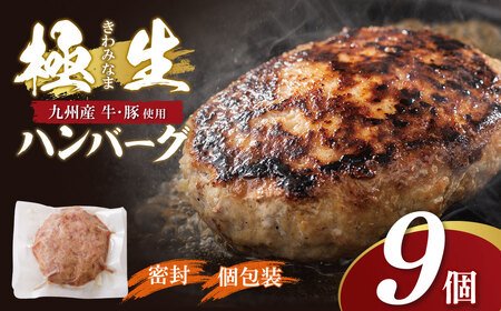 W61-38 極生ハンバーグ 9個セット(150g×9)