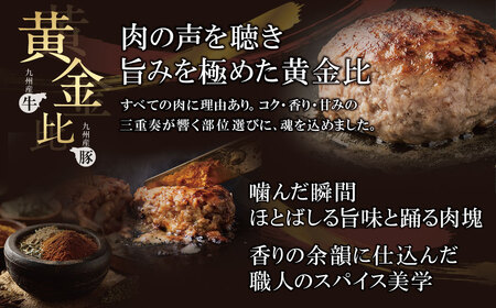 W61-38 極生ハンバーグ 9個セット(150g×9)