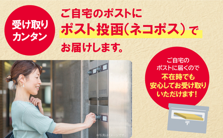 W86-19-01 博多とんこつラーメン4食