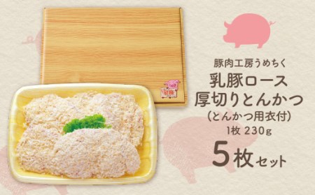 W04-07 乳豚厚切りとんかつ5枚 豚肉 【UMET】 【fukuchi00】