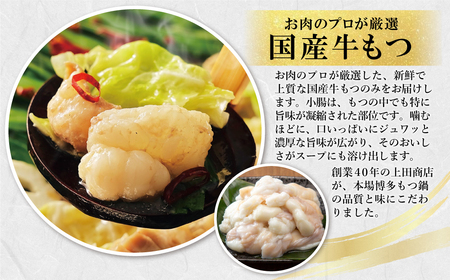 W08-32 お徳用もつ鍋(醤油味・白味噌味 各4～5人前) もつ鍋