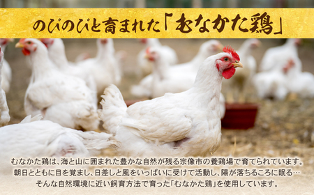 W71-07 海千 むなかた鶏 使用 水炊き2人前