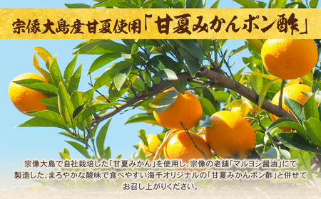 W71-07 海千 むなかた鶏 使用 水炊き2人前