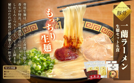 W99-85 福岡グルメ定期便（水炊きセット）