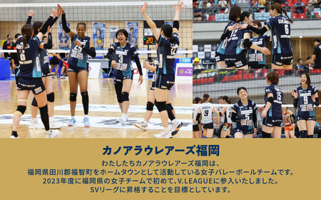 W36-06 カノアラウレアーズ福岡 オーセンティックユニフォーム(黄緑)