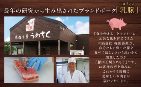 P04-10 乳豚 餃子50個＆メンチカツ15個セット 【UMET】 【fukuchi00】