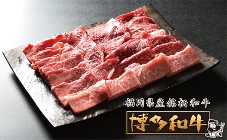 G10-10 バーベキューに最適!! 博多和牛焼肉3種盛りセット600g