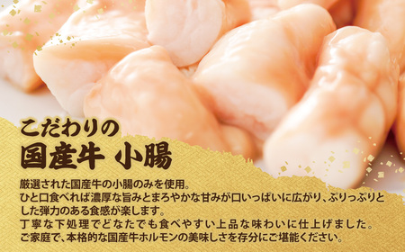 W72-02 平壌屋 元祖味噌もつ鍋セット(野菜有) 追加たれ付き