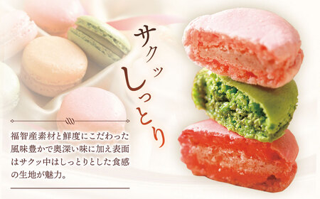 W23-01 ふくち☆リッチマカロン(5個詰合せ)【MNUR】 【fukuchi00】