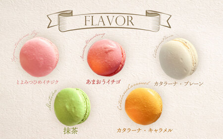 W23-01 ふくち☆リッチマカロン(5個詰合せ)【MNUR】 【fukuchi00】