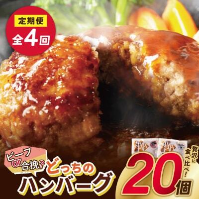 W61-87 【4回定期便】どっちのハンバーグ(デミグラスソース)20個【ビーフ・合挽 各10個】 ハンバーグ