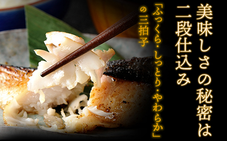 W61-77R01 【母の日】訳あり 博多バラエティー漬け魚詰合せ 15切 魚