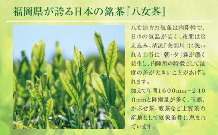 P26-82 福岡の八女茶 煎茶ペットボトル(24本)定期便(毎月×6回) 【SHINWN】 【fukuchi00】