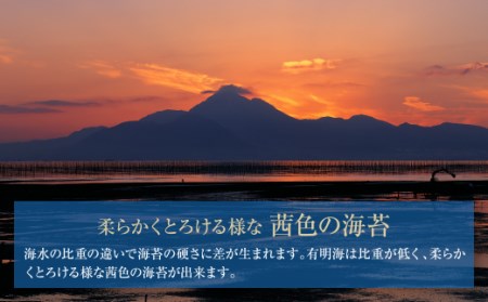 W26-34 有明海産一番摘み 大丸ボトル味海苔 10切80枚 4本セット