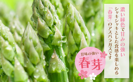 W18-20-01 清流・有機肥料使用 アスパラガス(春芽) 1kg(M) 【2026年4月より順次配送開始】 