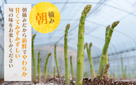 W18-20-01 清流・有機肥料使用 アスパラガス(春芽) 1kg(M) 【2026年4月より順次配送開始】 