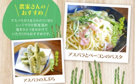 W18-20-01 清流・有機肥料使用 アスパラガス(春芽) 1kg(M) 【2026年4月より順次配送開始】 