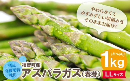 W18-20-03 清流・有機肥料使用 アスパラガス(春芽) 1kg(LL) 【2026年4月より順次出荷】