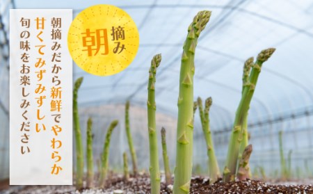 W18-20-03 清流・有機肥料使用 アスパラガス(春芽) 1kg(LL) 【2026年4月より順次出荷】