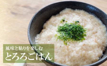 U19-01 【福智町産】オラの自然薯(1本もの 750g以上） 野菜 グルメ 取り寄せ ご当地 特産 産地 直送人気 オススメ