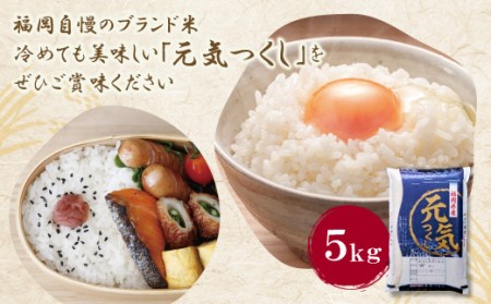 W17-25 【新米】令和7年産 研ぐお米 元気つくし5kg